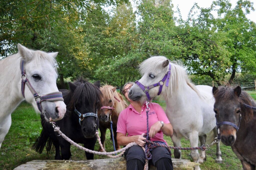 Pony Tales Club, Amanda & her ponies