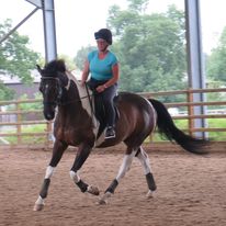 Pony Tales Club Amanda Minty Dressage