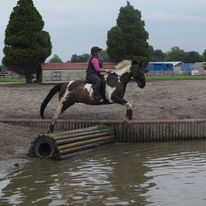 Pony Tales Club Amanda Minty cross country water